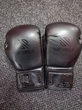 Sanabul Men's Black Boxing Gloves - Professional Training Pair 12 Oz